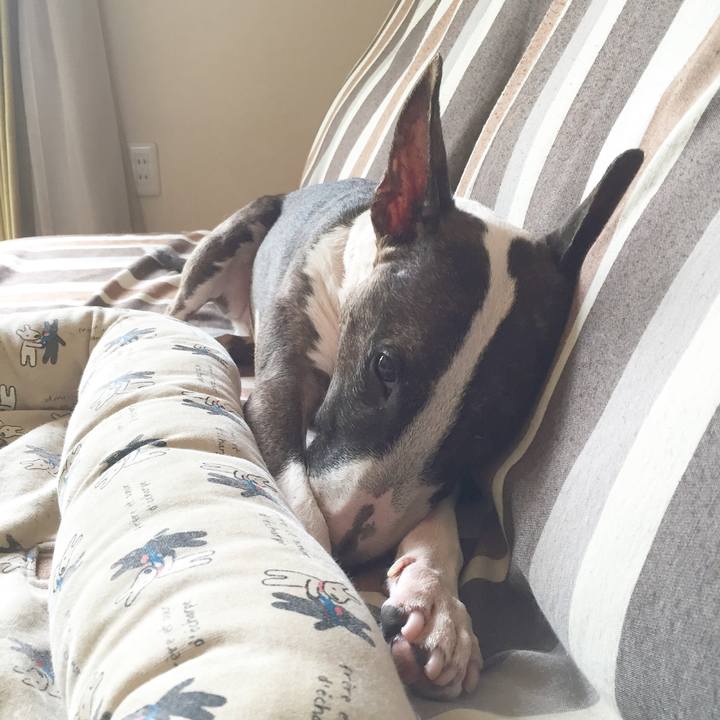 E28a6042 3251 43d4 94dd 3a6736f53555