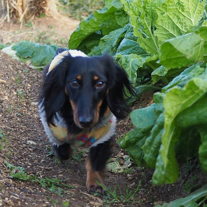 E28aff99 0fdb 4b1d 9b33 e12d9634b143