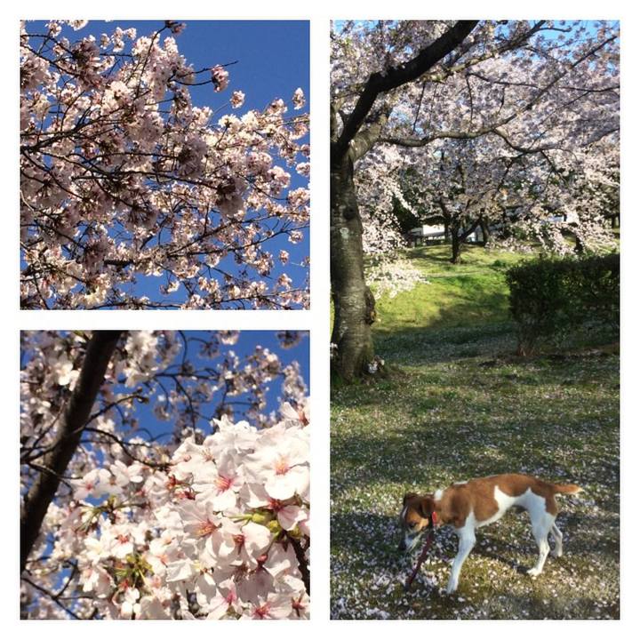 E28b5749 e3e5 468c 8889 b820df5c9b76