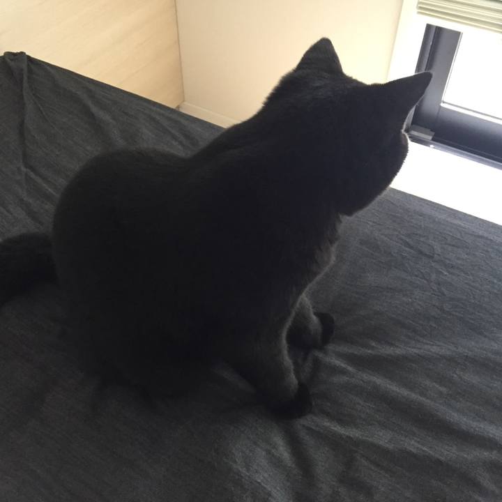 E28b66fd b553 4311 9025 4700e52e5da3