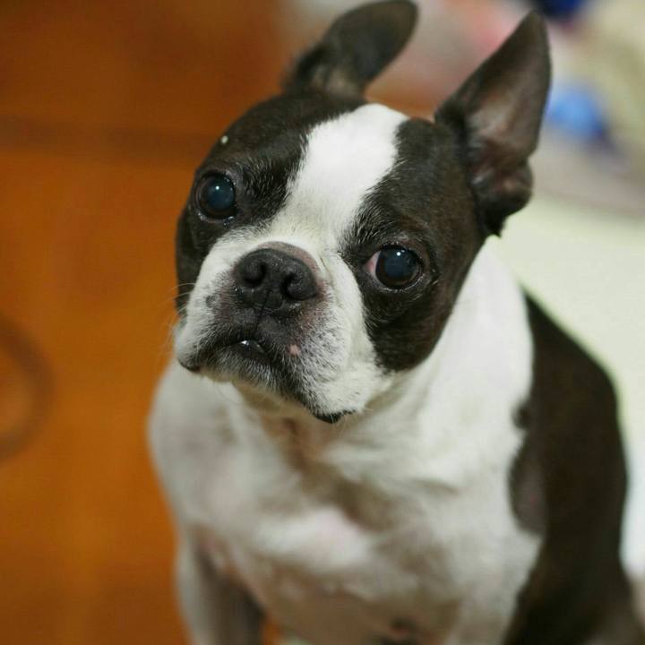 E28bb6e7 6572 4d6e a229 624ea2f245ca