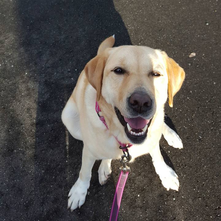 E28bc1c1 e7d7 4f83 8425 10e8ba343ee3