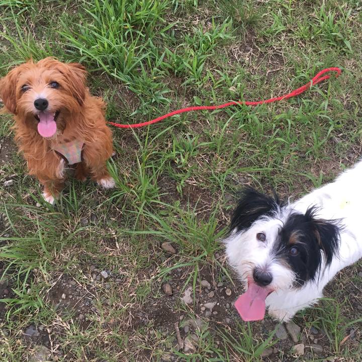 E28c0f72 8b6f 48b6 a157 399fceaa6ac3