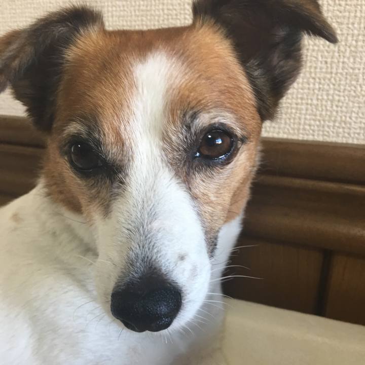 E28c5cbd b207 4206 a9a1 33dd12a45469