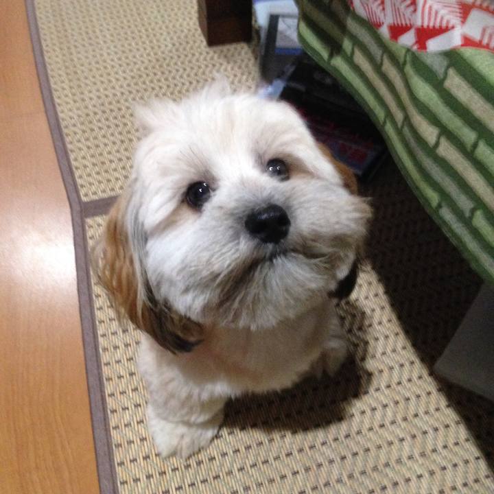 E28ca0a0 7254 48d1 ae71 0e1746968b75