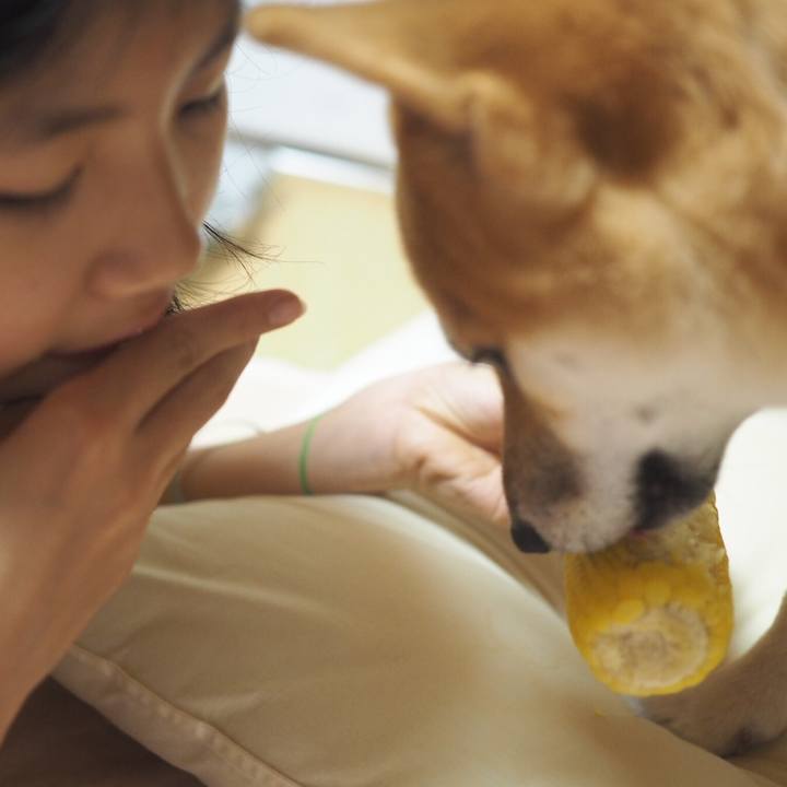 E28de857 3ec6 473e a712 cdfa44ee1967