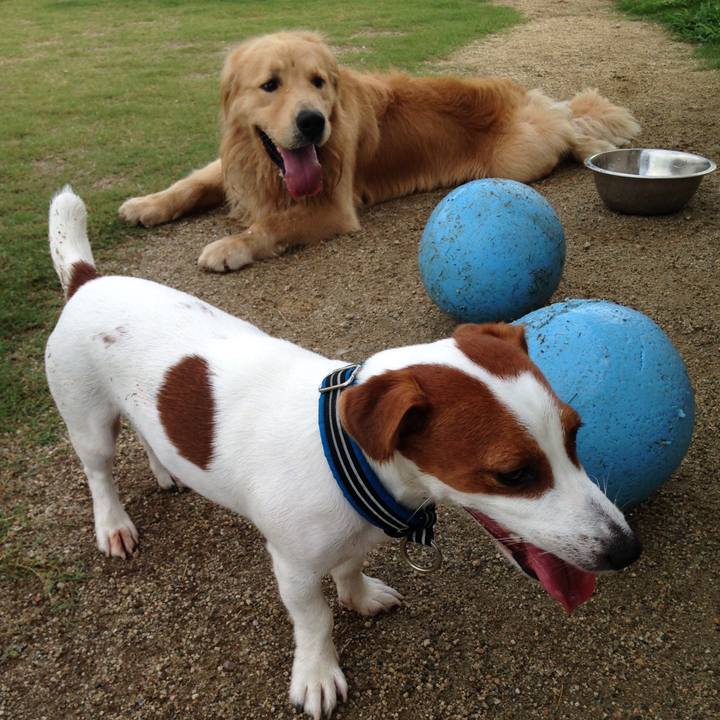 E28e38b4 01c7 45e0 907b fad6660422e1