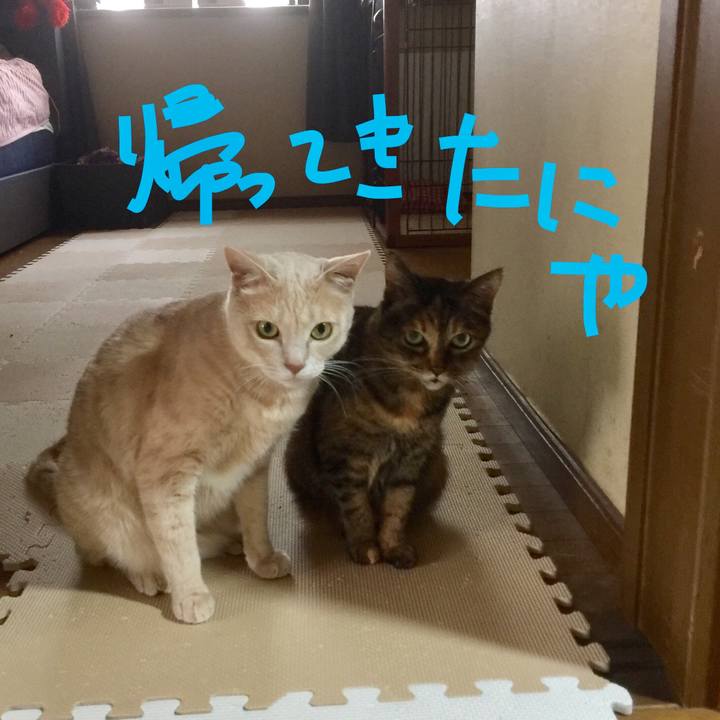 E28e9a38 935e 4065 96a5 27fa11086689