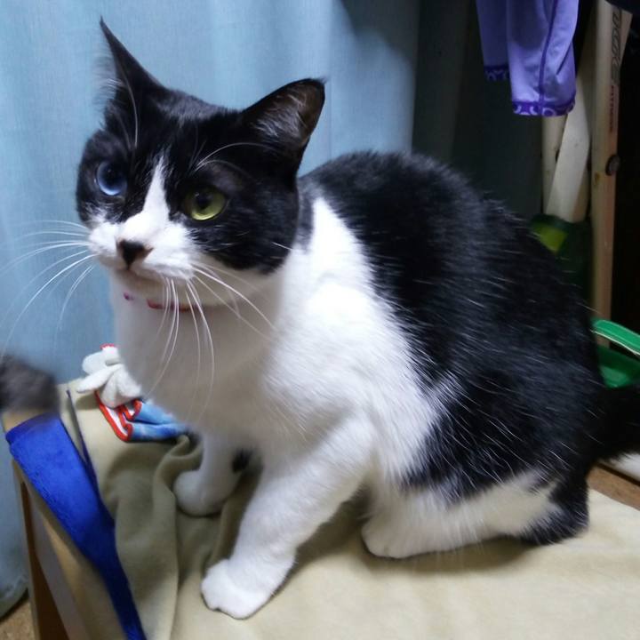 E28f0307 74b4 4810 b0d7 8c340eaac2cd