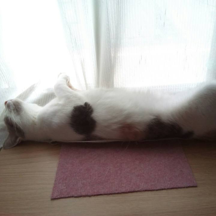 E28f3ab9 b8d0 498e 8877 e228e97e22ef