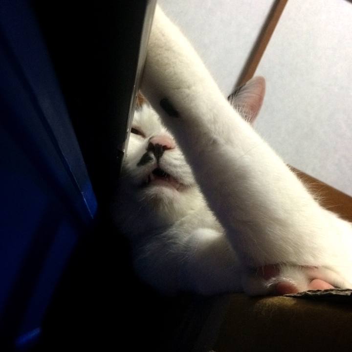 E28ffc58 461c 4f66 8578 83fb6a624dfc