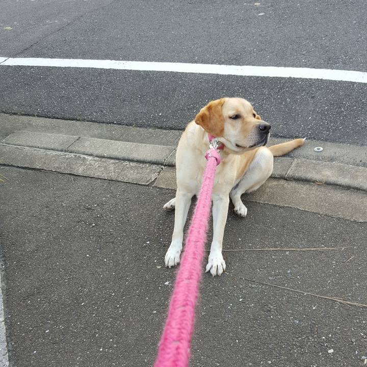 E290ee4a 290c 4b91 9649 457cb69d4ed5