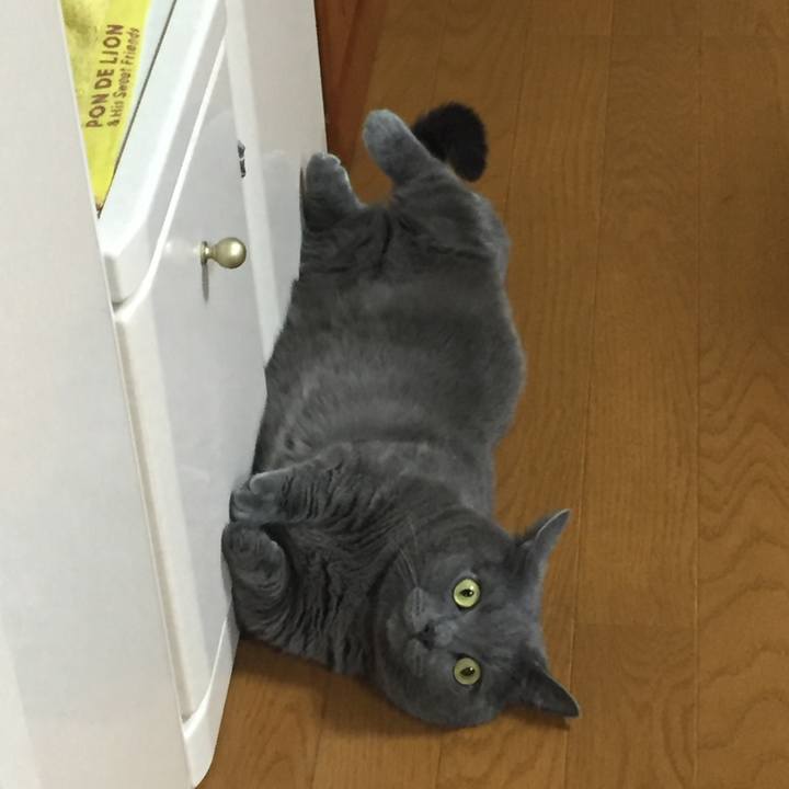 E291095d 0754 4809 8d25 fe435d120978