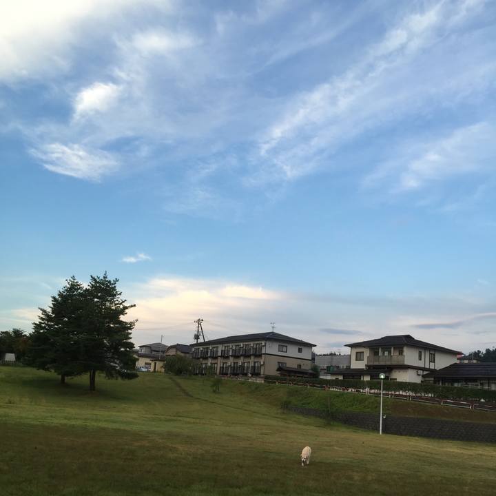 E291141a 79f5 45ae 917a baabb9f8ce0a