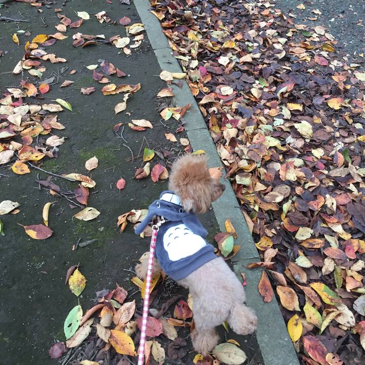 E291d66d 72a1 497d bd06 9eceb59df0de