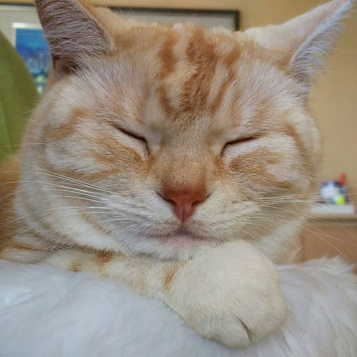 E2921746 f7bf 42f9 bb3e 1d0f0340d97b