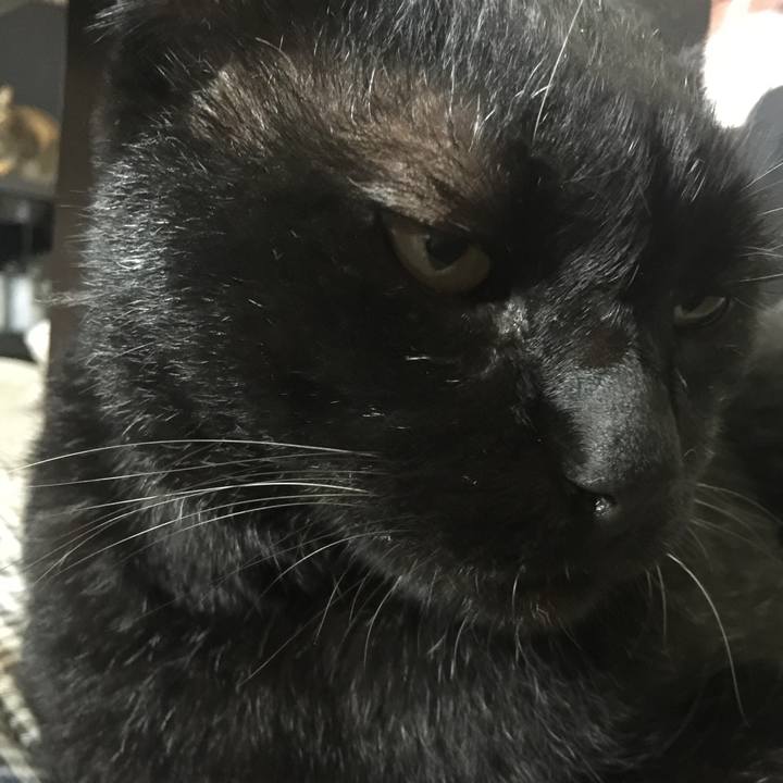 E2926c44 c669 4811 97d7 88d1a45a5255