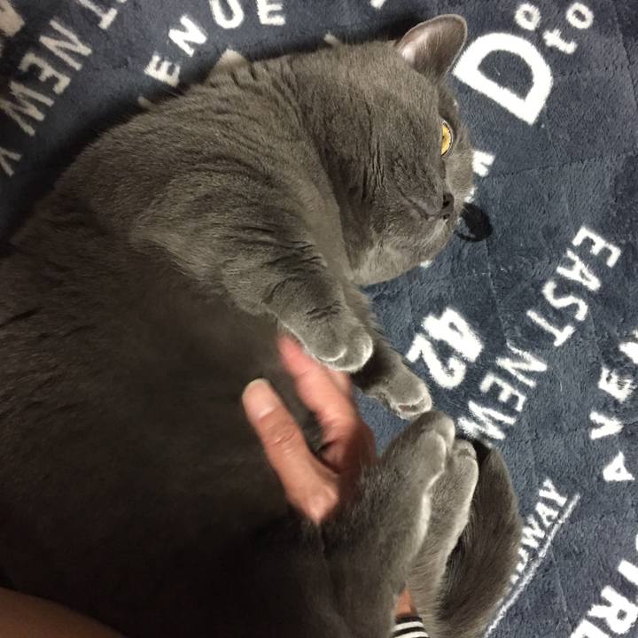 E29277c1 f063 4742 b5d7 42045e99126f