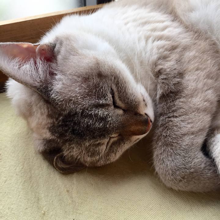 E293539d 95f7 419f a1f8 b4b3eebdbcae