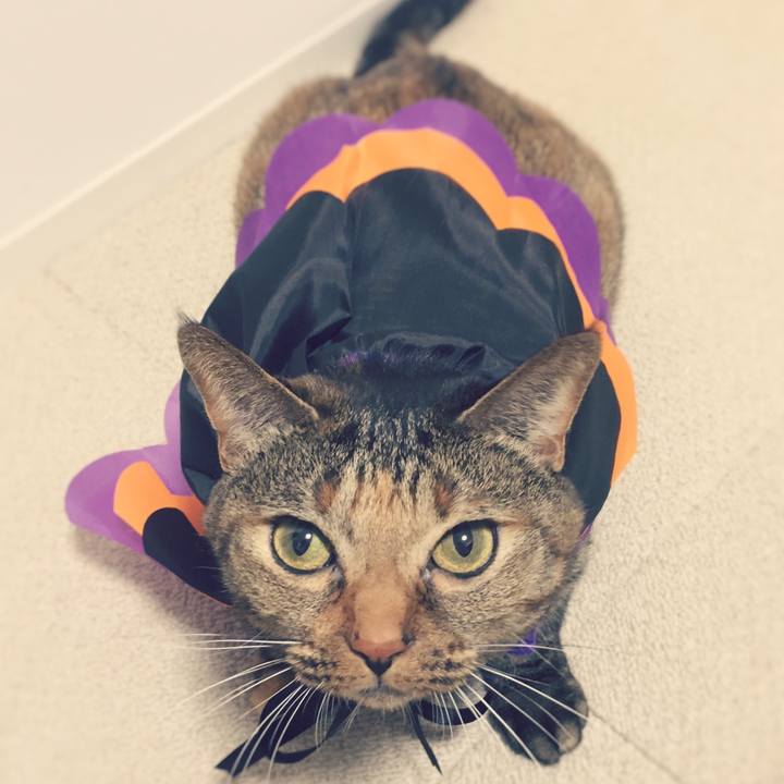 E29390bd 0e94 4077 9393 253a4fc7d590