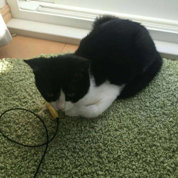 E293c9c7 785b 4ae6 9773 16f402f4707b