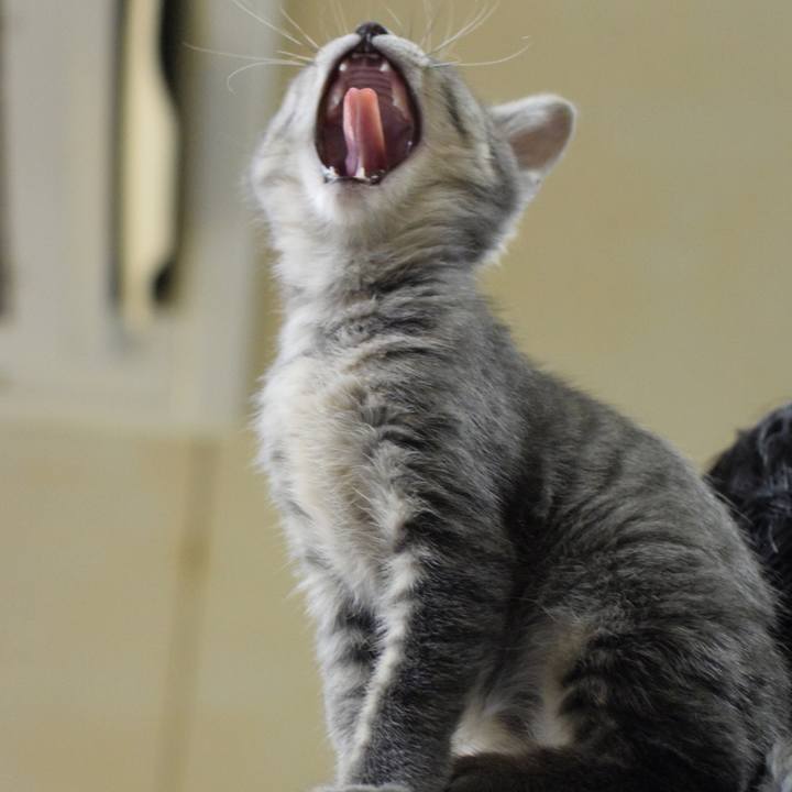 E294dd5a 06a1 4a1f be44 f81a4e12eabe