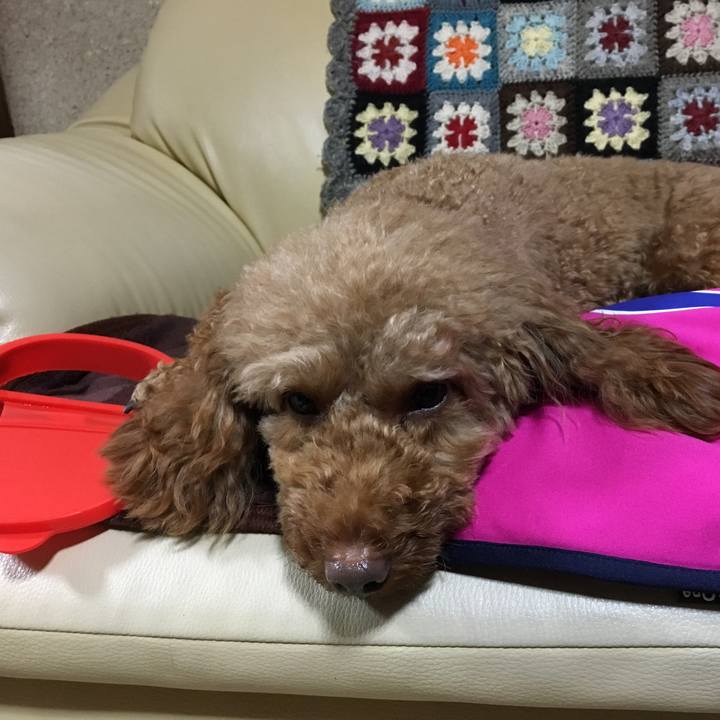 E2953163 d3e1 4d00 add4 6587f7e923b7