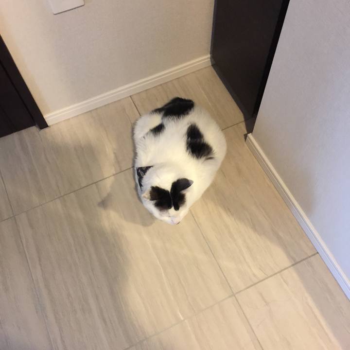 E29664ad 49b4 4767 a3f6 f55cdebd34bd