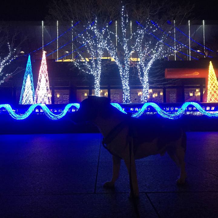 E296e5c3 b4c2 4539 8a43 72b666cb1d52