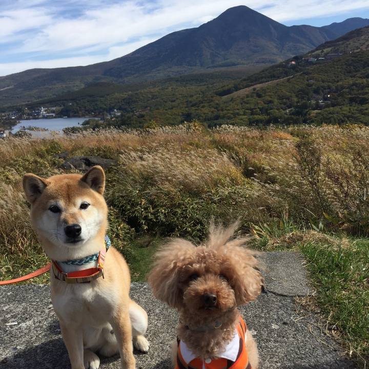 E2977eb9 d537 479f 91ba 14c7abff7a30