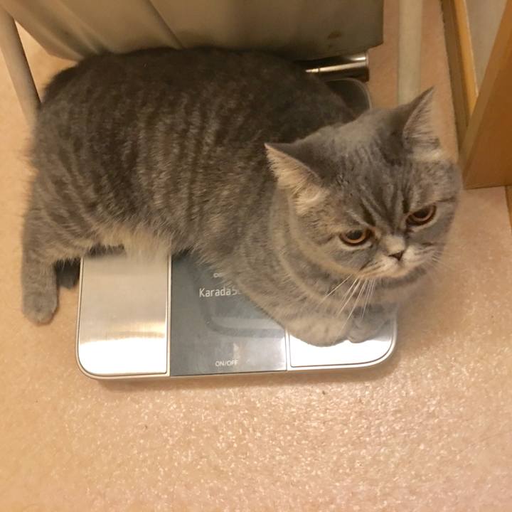 E29786f4 045d 4013 88da 1283c27c0aa3