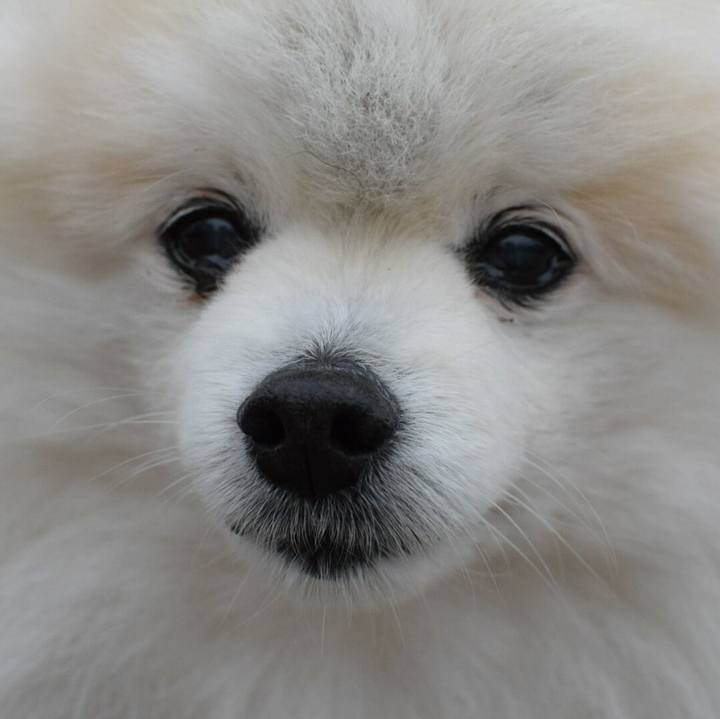 E2987106 f9f1 4a14 b786 560e004e7c5c