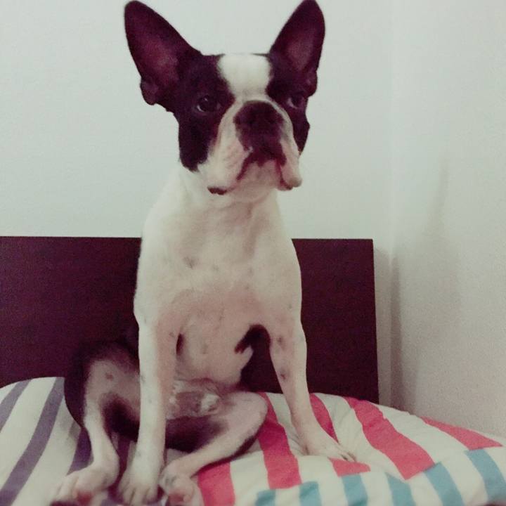 E29894f5 ae25 4863 96c0 972515667e8b