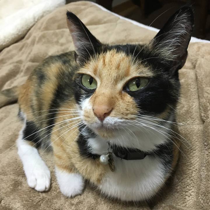 E298a1d1 2e8d 490d 92aa c93e4c4e11f0