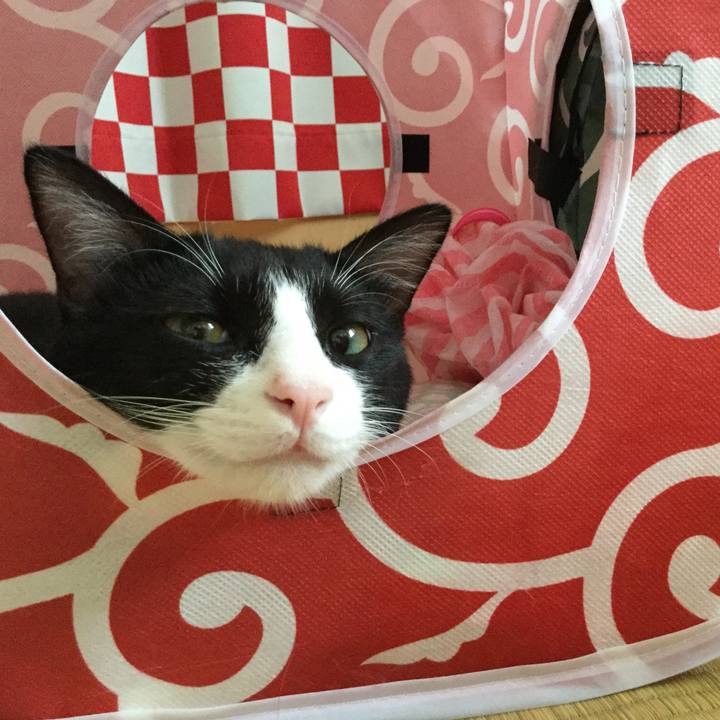 E298b219 702b 4e81 9bcf 63d78c82f107