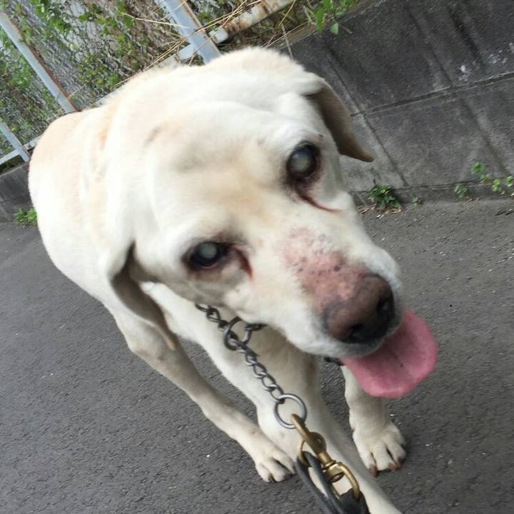 E298b6be 9b69 46af ab21 f1ac05bf9d18