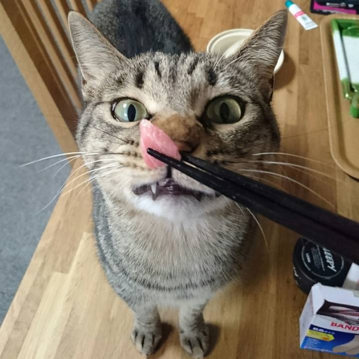 E29926d0 5d89 4117 b637 bee8ff09f365