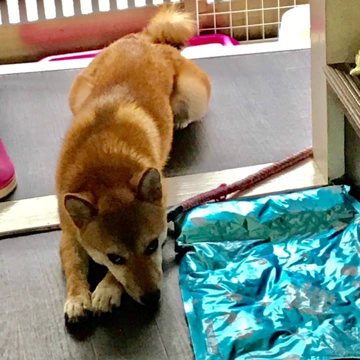 E2992a1b 605d 4174 9d41 ae218b4fdc4f