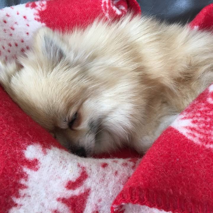 E2999cbb 101c 4819 accc c688df118d00