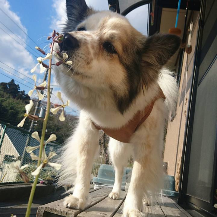 E299b8ca f98e 4ad2 a435 0d717f69e136