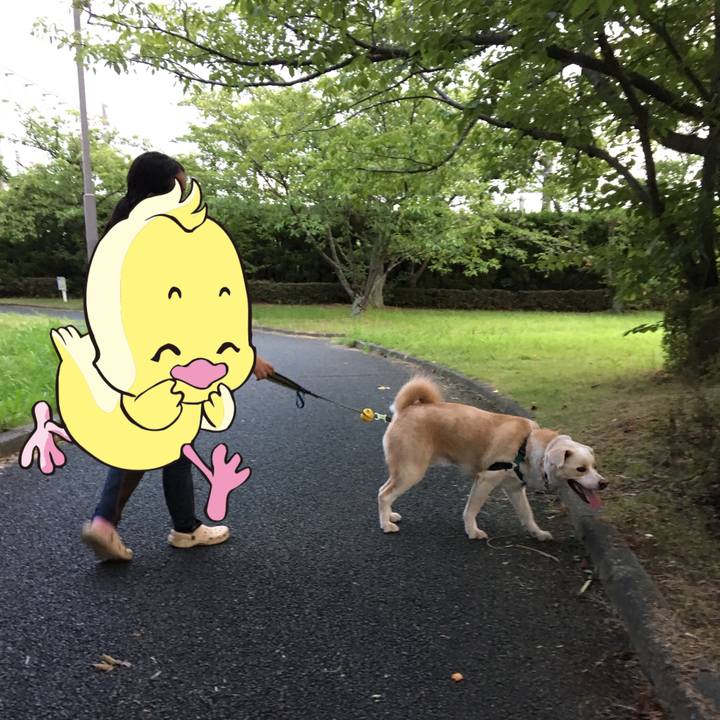 E29b0ad8 9bb3 46d2 832b 6ac53617d484