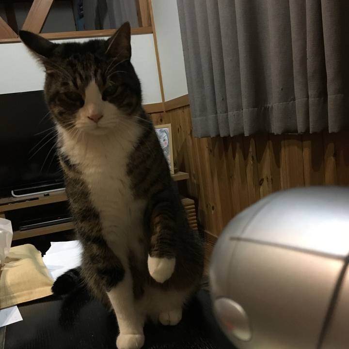 E29bacb1 c39f 4243 a4e9 52466ef61d99