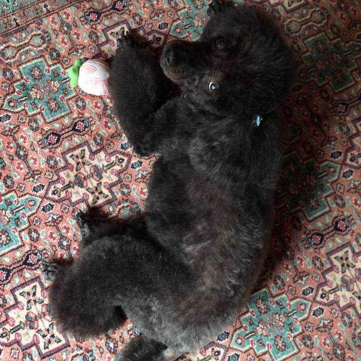 E29dca42 7a69 4f2f 8a81 467f7462bf00