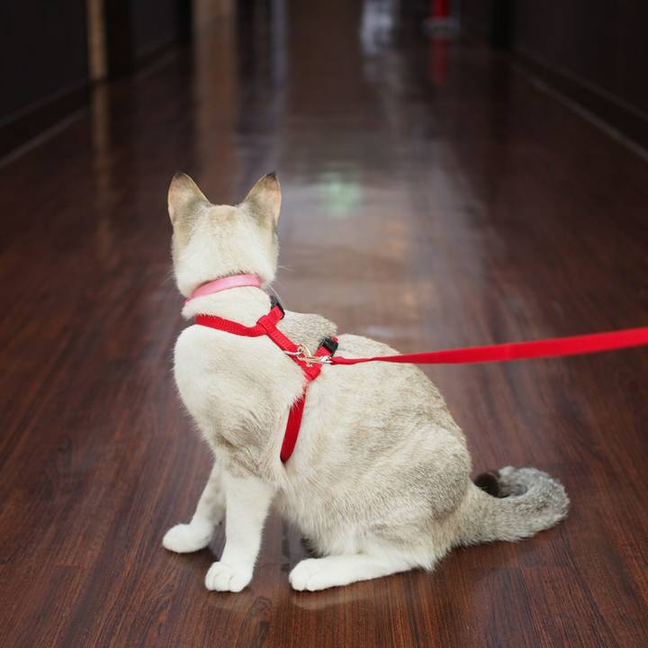 E29ea167 febb 42de 8887 ca66fdde918f