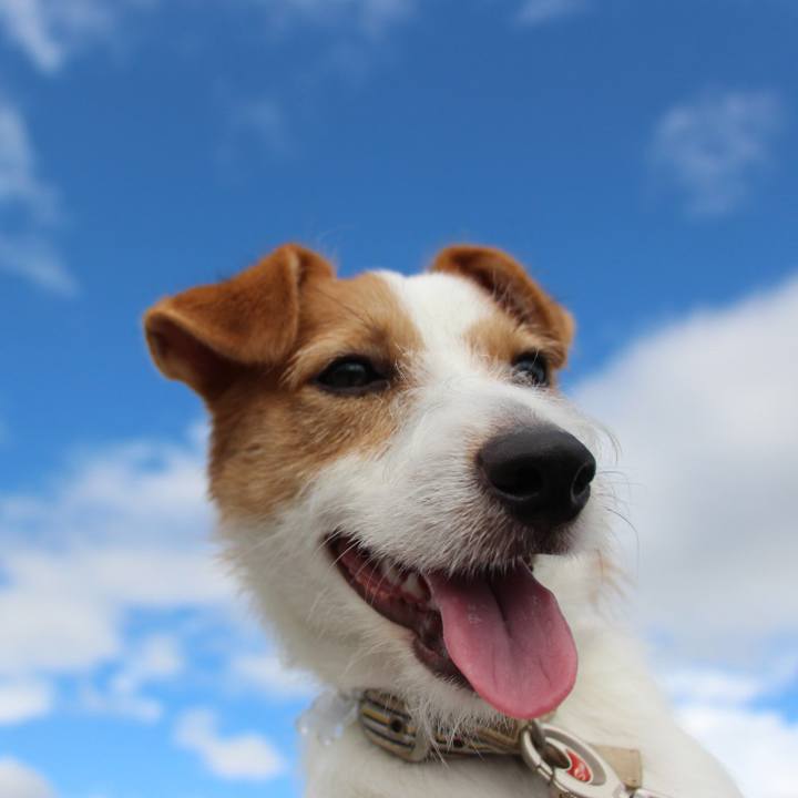 E29eaa77 7e94 4e0a 979b aff267ecf03f