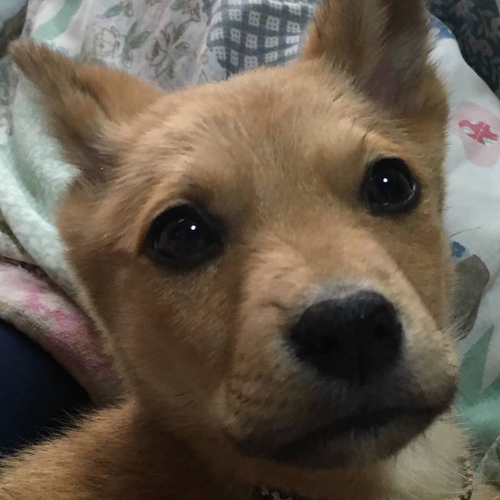 E29fa3c2 f2bb 4aaf baaa 5c9d0f03f185