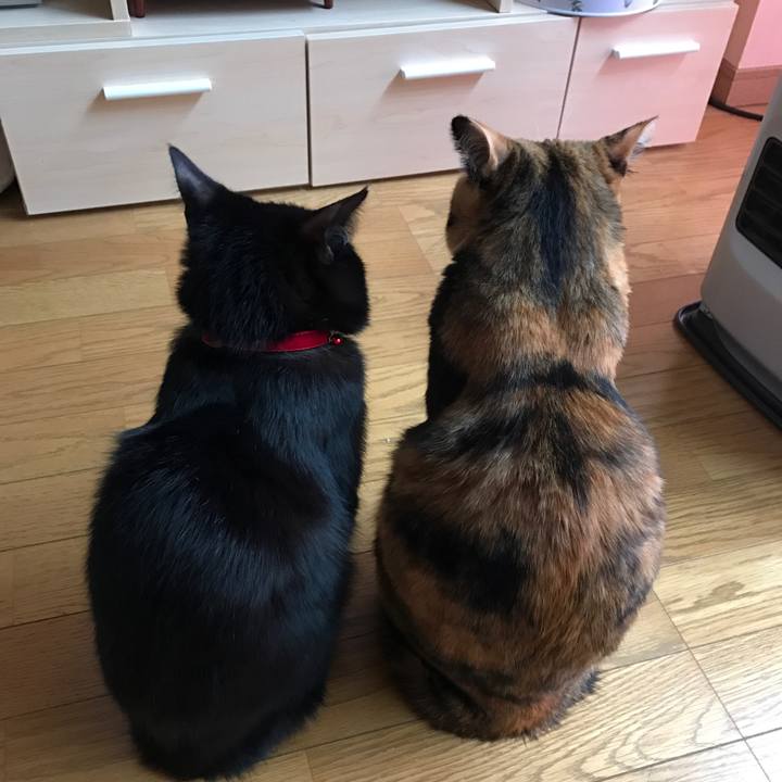 E2a02418 fa25 4e71 af0c a2717ab9db90