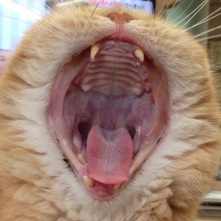 E2a21f69 78e1 44b9 b572 fd41ebb1990b