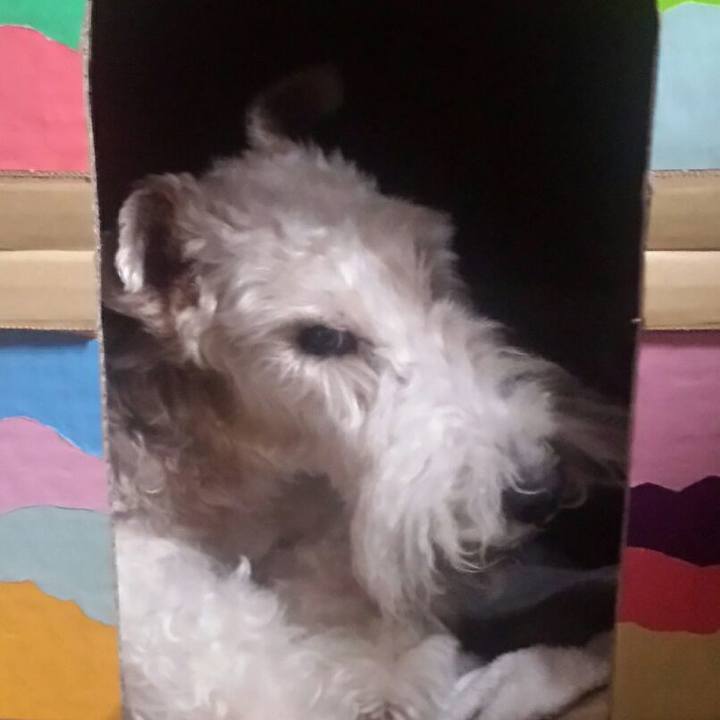 E2a270e5 5fbb 41c9 be0e 3f819c28c677