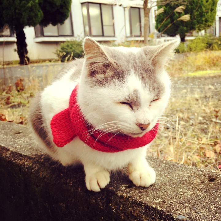 E2a3221b 1b76 49af a12a 5c9e289312d6